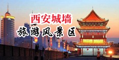 www.美女喷浆内射中国陕西-西安城墙旅游风景区